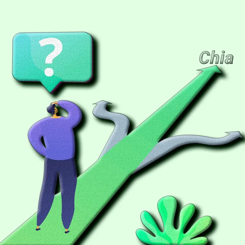 Головні питання новачків з Chia Network